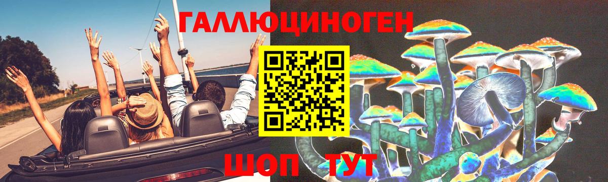 купить наркотик  Галлюциногенные грибы Psilocybine cubensis  Вход с VPN  Моршанск  Галлюциногенные грибы GOLDEN TEACHER 