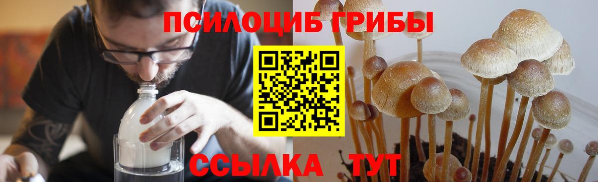Галлюциногенные грибы мицелий Моршанск
